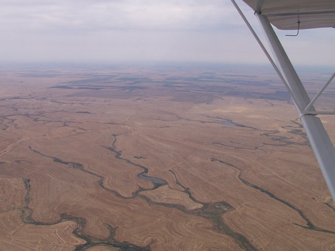 Cut wheat fields in South Dakota  